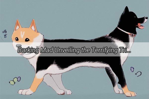 Barking Mad Unveiling the Terrifying Triggers That Send Dogs into a Frenzy